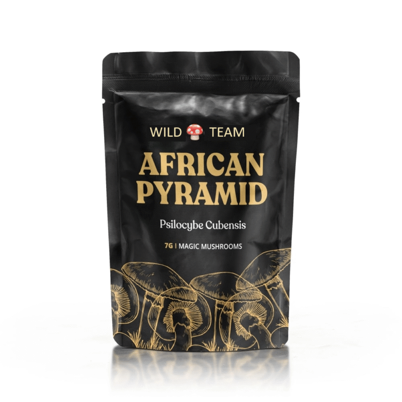 African Pyramid Magic Mushrooms