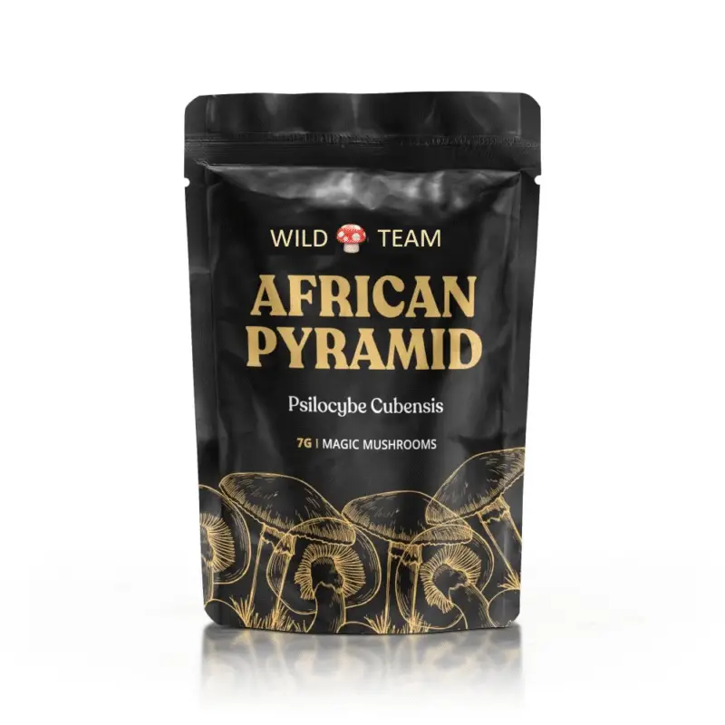 African Pyramid Magic Mushrooms