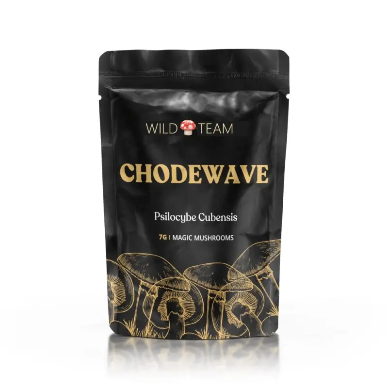 Chodewave – Magic Mushrooms