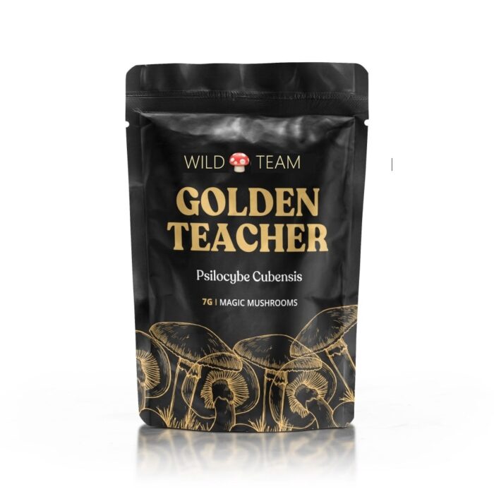 Golden Teacher Magic Mushrooms
