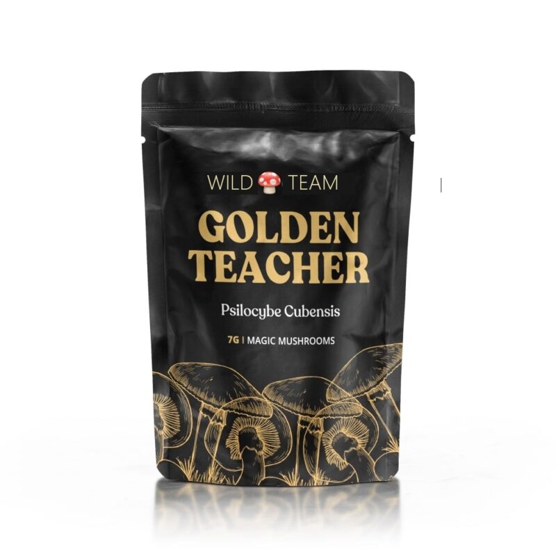 Golden Teacher Magic Mushrooms